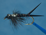 Small Stonefly nymph page link