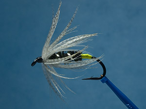 Wet spyder fly, chartreuse butt, image link.