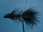 Wooly sculpin, black image link 