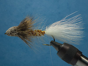 Wooly sculpin, Galloup's original image link